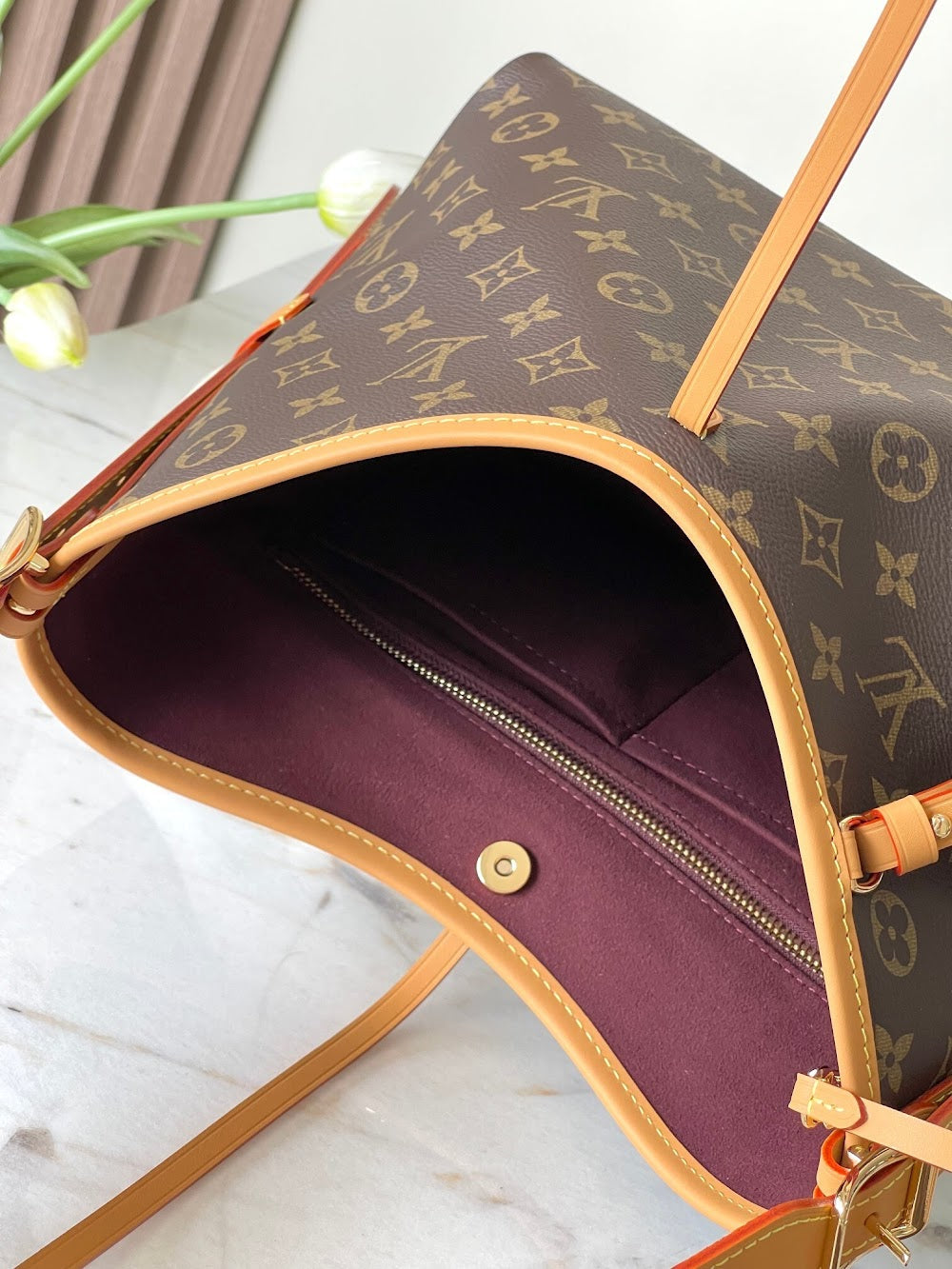 Dragons Bags LVn Luxury Bag --79178