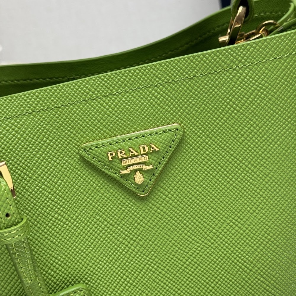 Dragons Bags Pradn Luxury Bag --102378