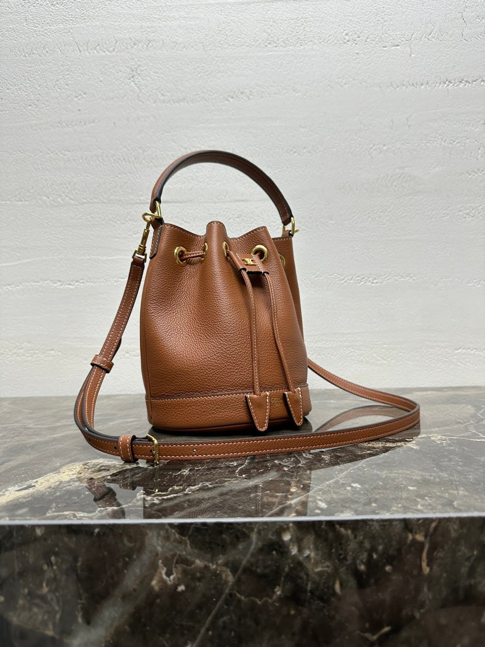 Dragons Bags Celine Luxury Bag --112557
