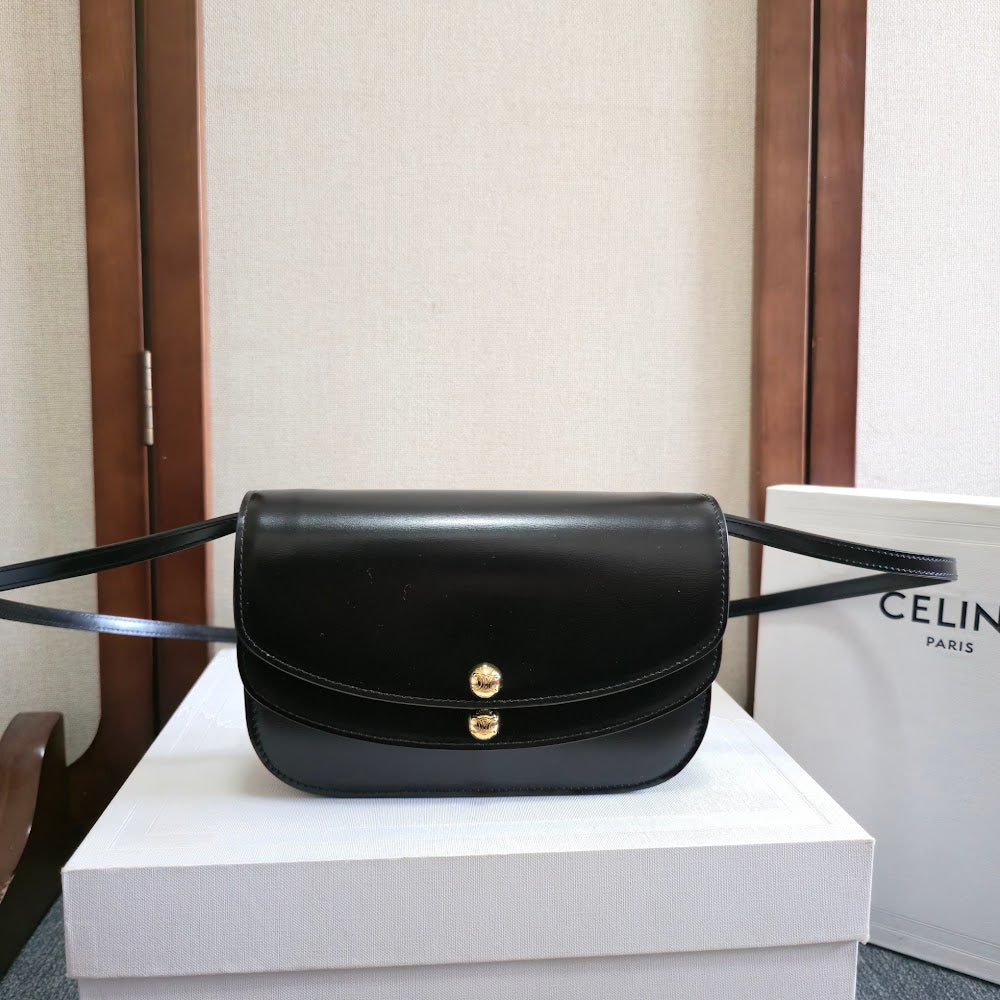 Dragons Bags Celine Luxury Bag --112636