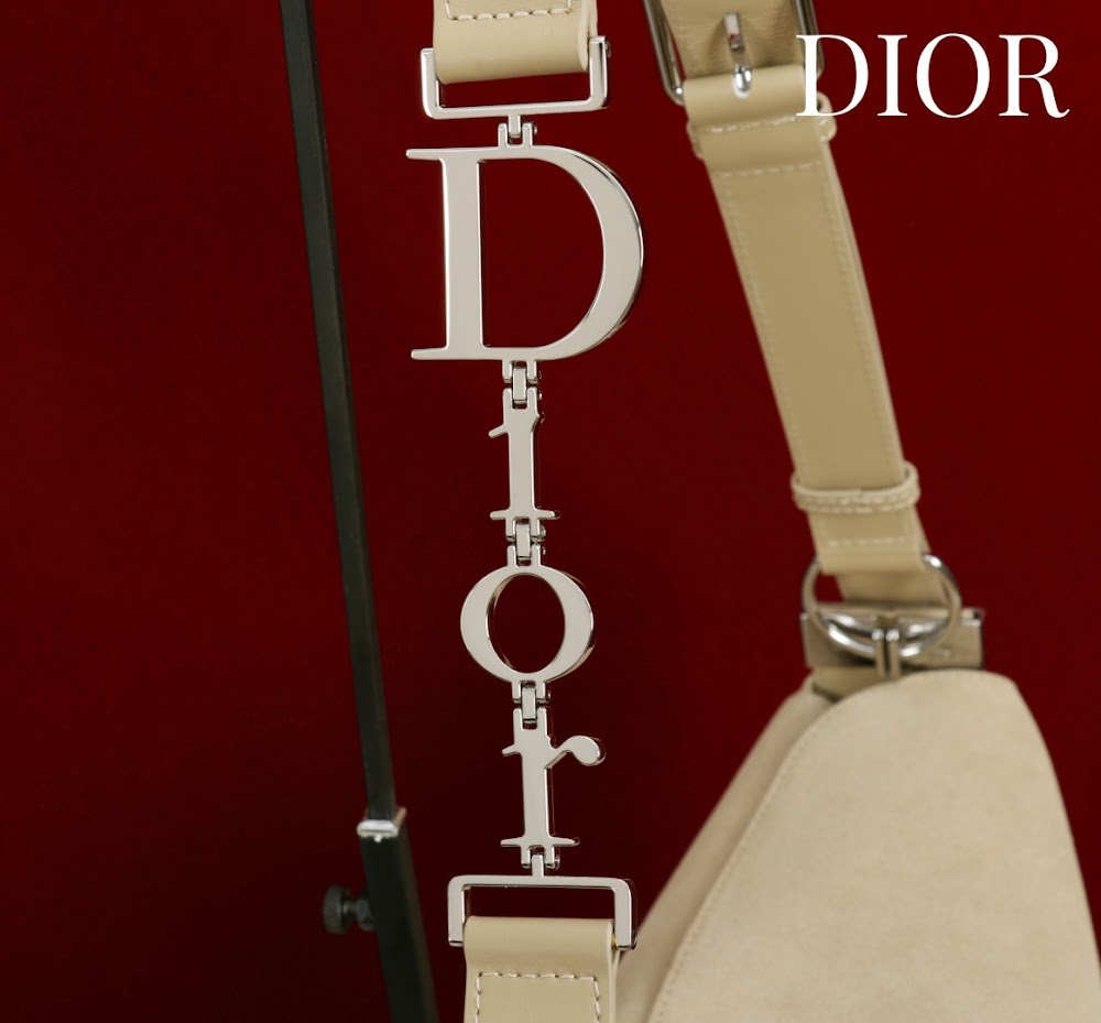 Dragons BagsDiorn Luxury Bag --115368