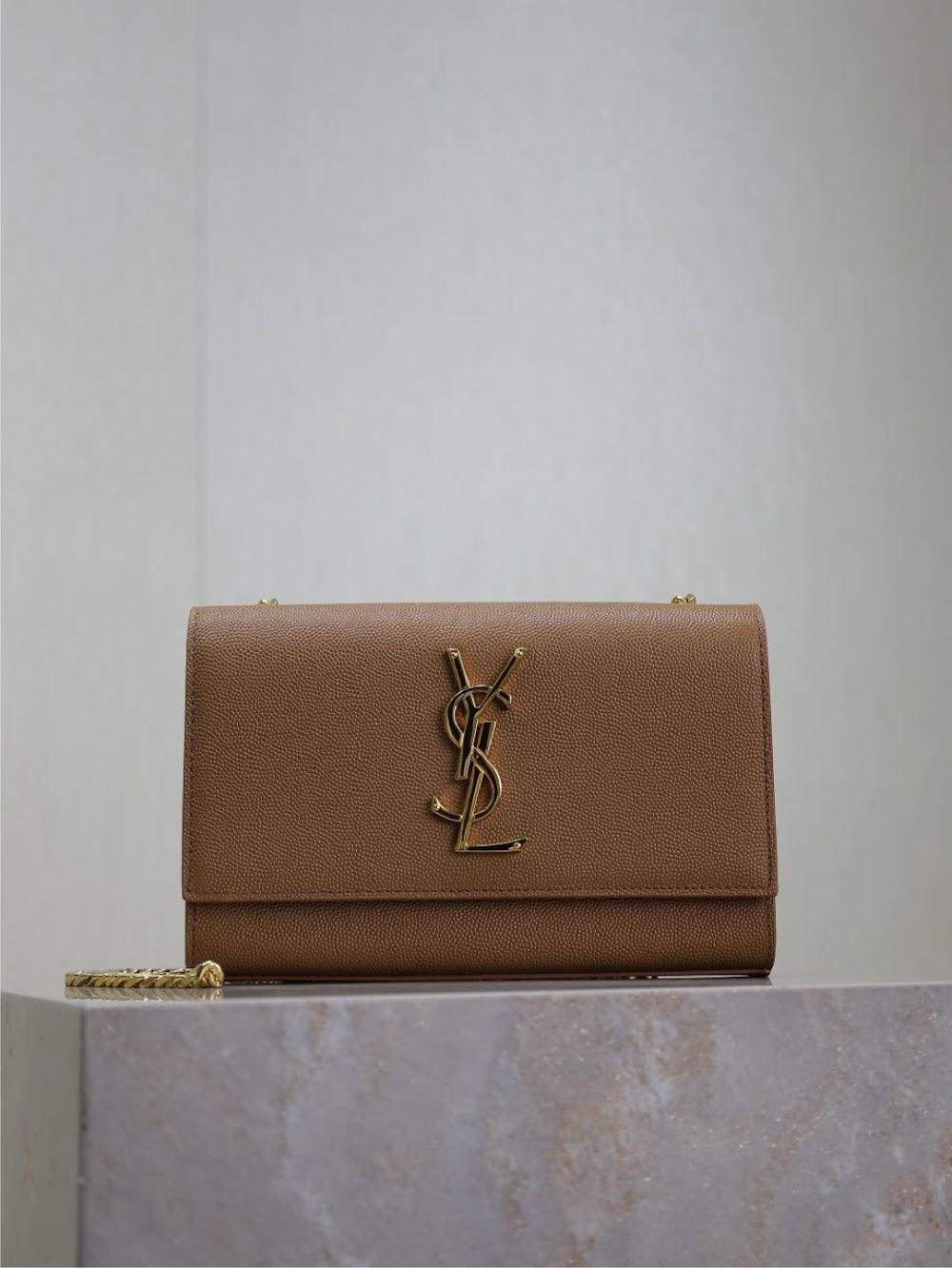Dragons Bags YSLn Luxury Bag --120536