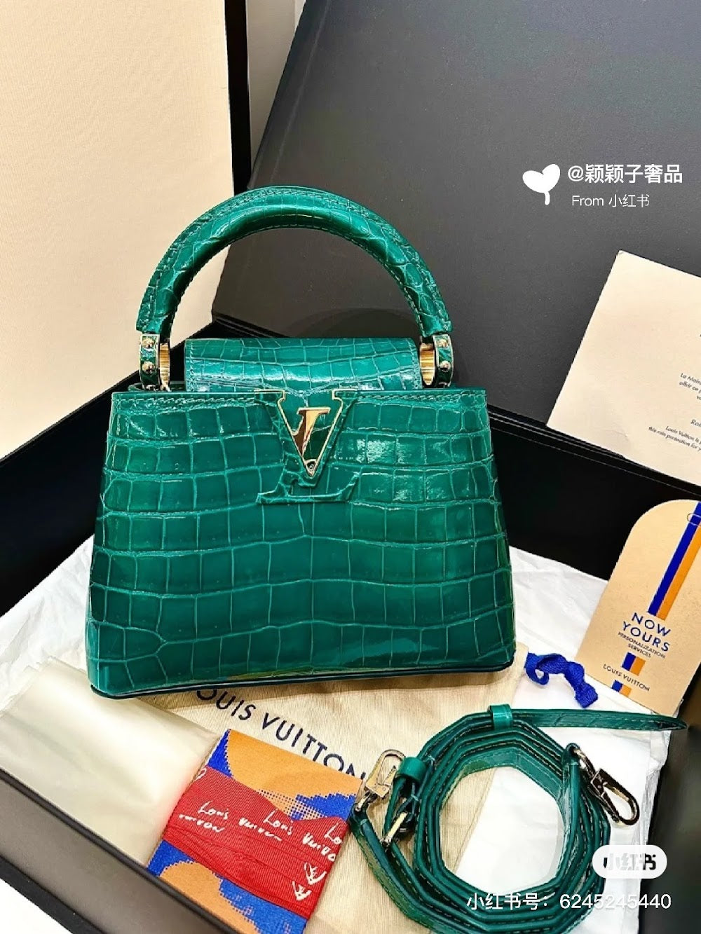 Dragons Bags ln Luxury Bag --96830
