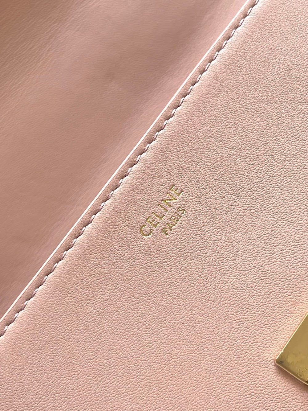 Dragons Bags Celine Luxury Bag --112361