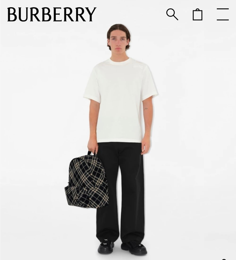 Dragons Bags Burberryn Luxury Bag --93128