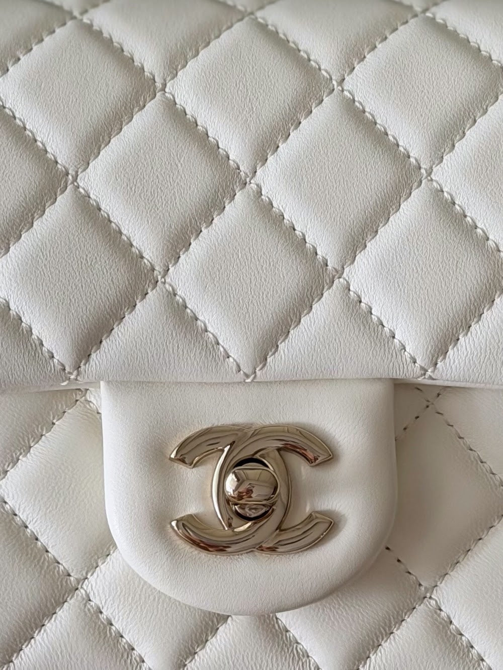 Dragons BagsCHn Luxury Bag --114085
