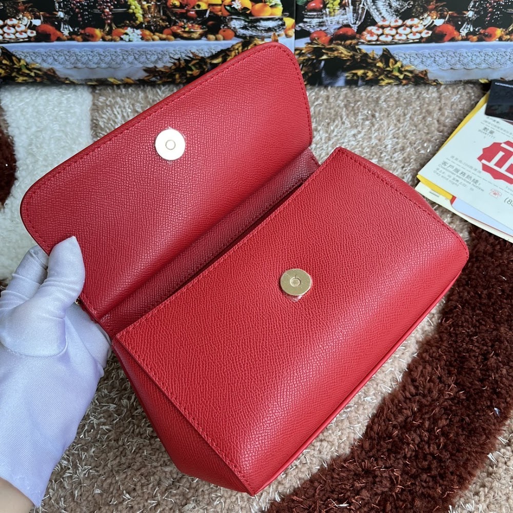 Dragons Bags DGn Luxury Bag --94010