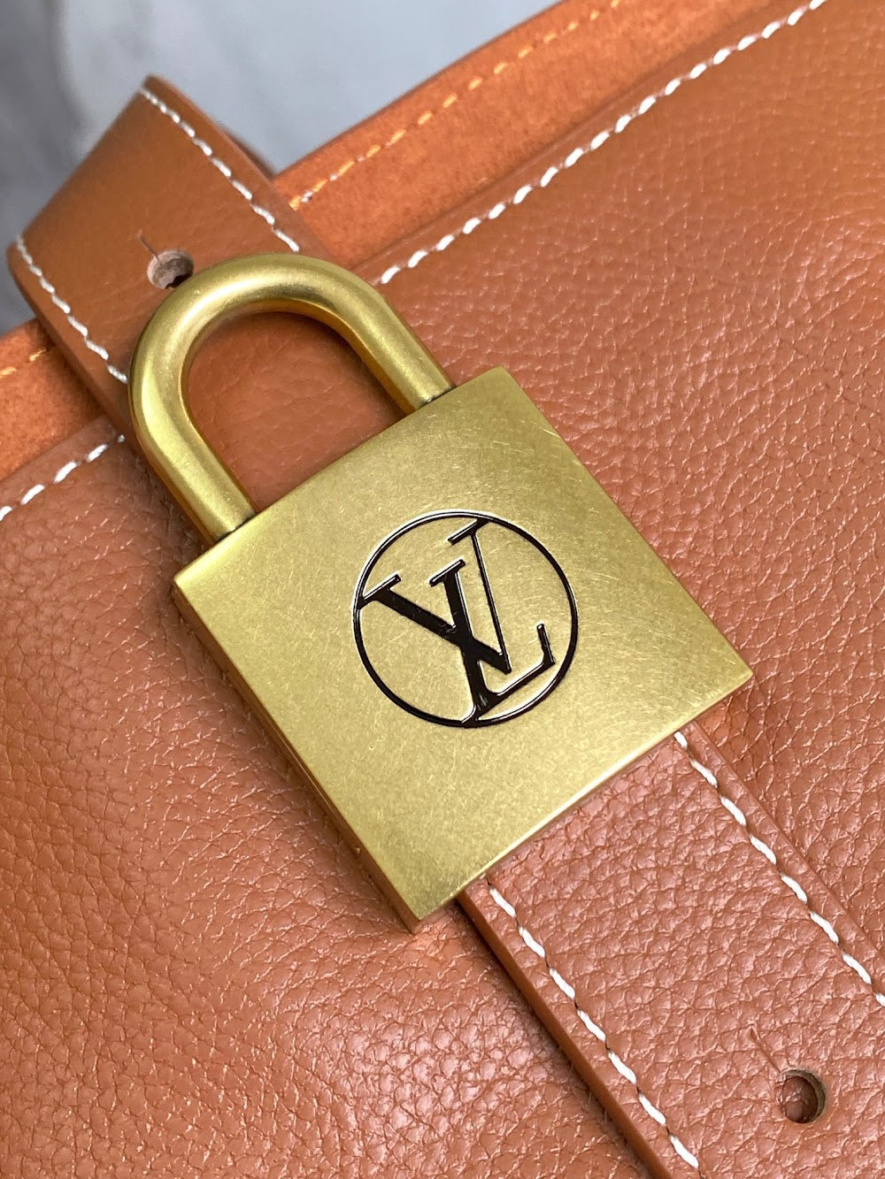 Dragons Bags LVn Luxury Bag --80170