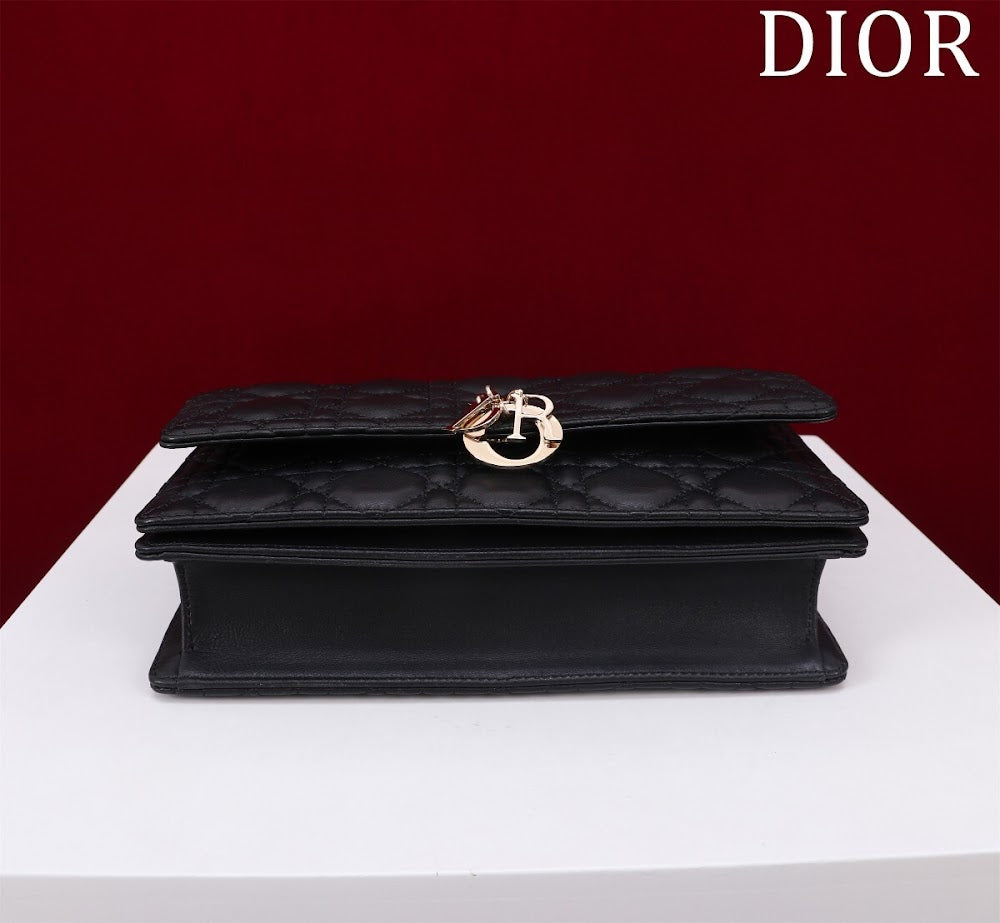 Dragons BagsDiorn Luxury Bag --116297