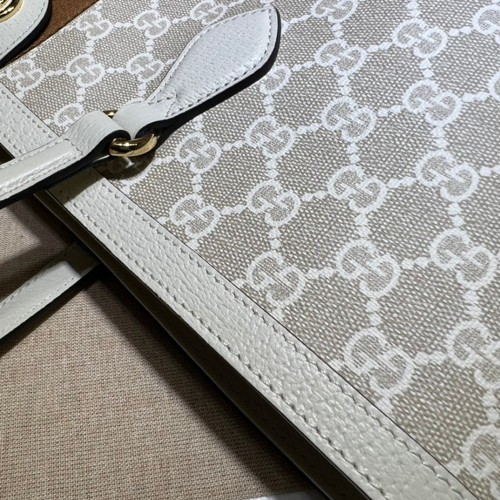 Dragons Bags Guccin Luxury Bag --95504
