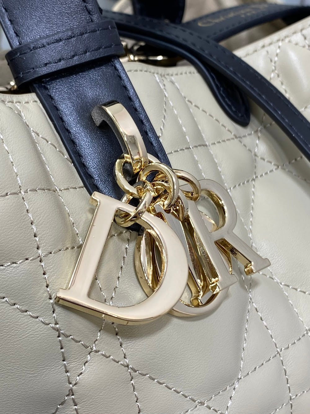 Dragons BagsDiorn Luxury Bag --115973