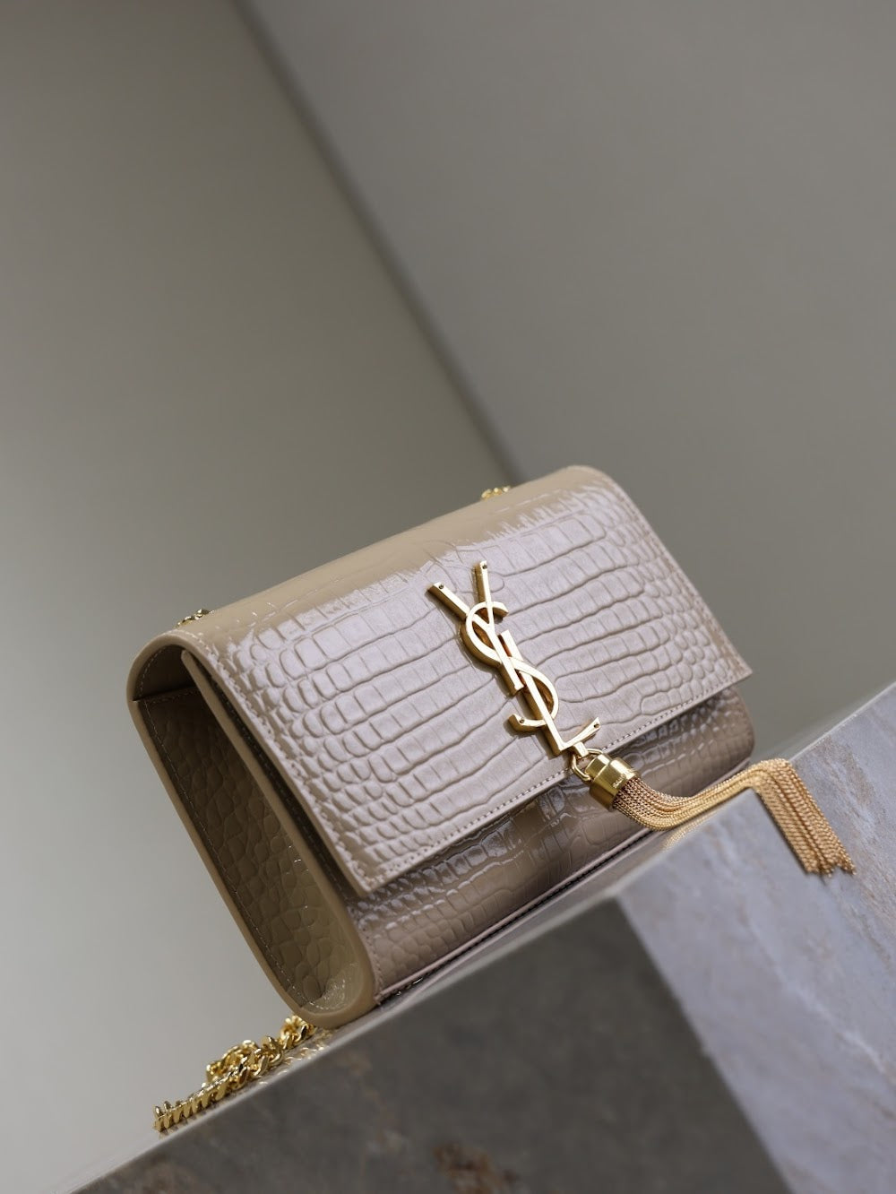 Dragons Bags YSLn Luxury Bag --119161