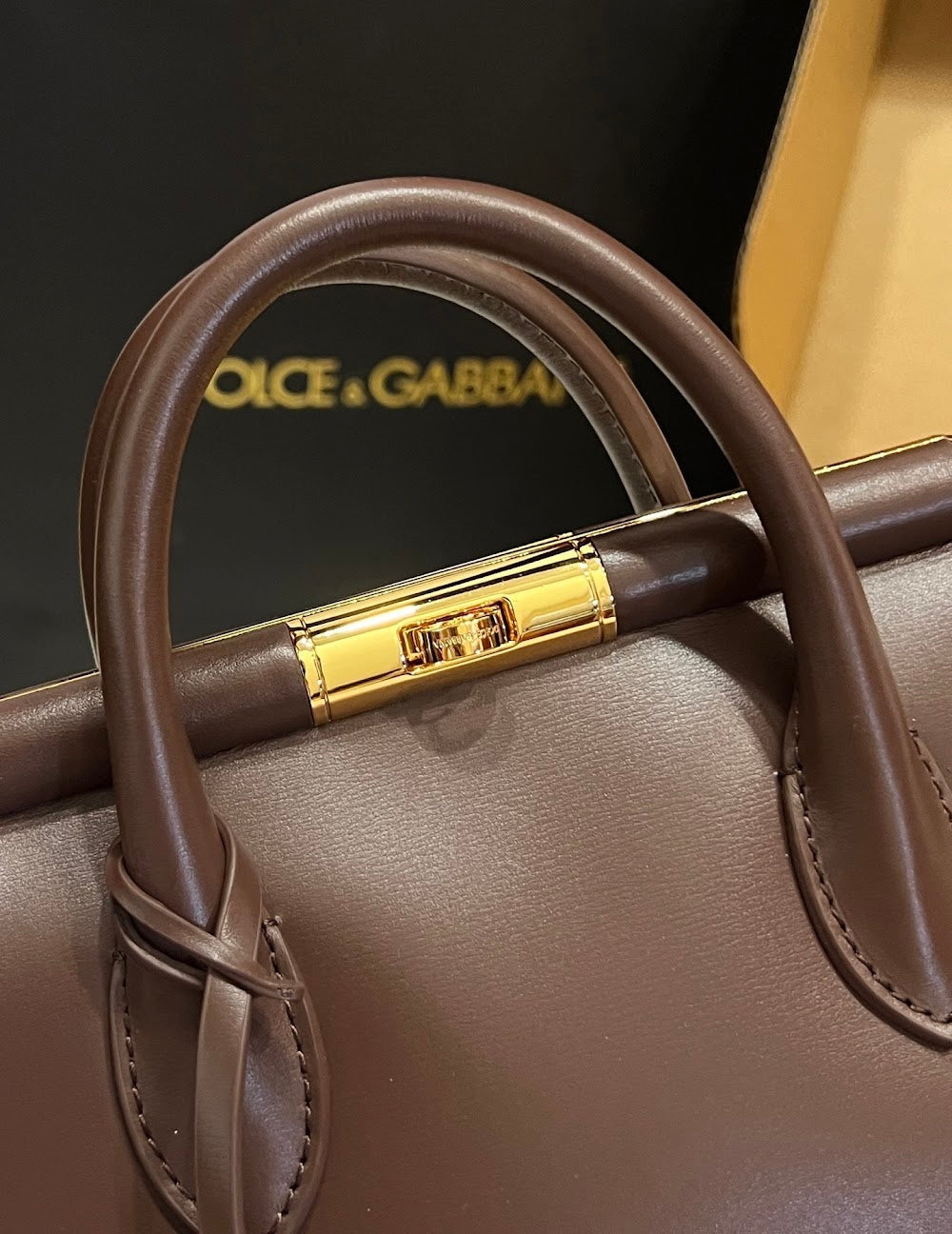 Dragons Bags DGn Luxury Bag --93899
