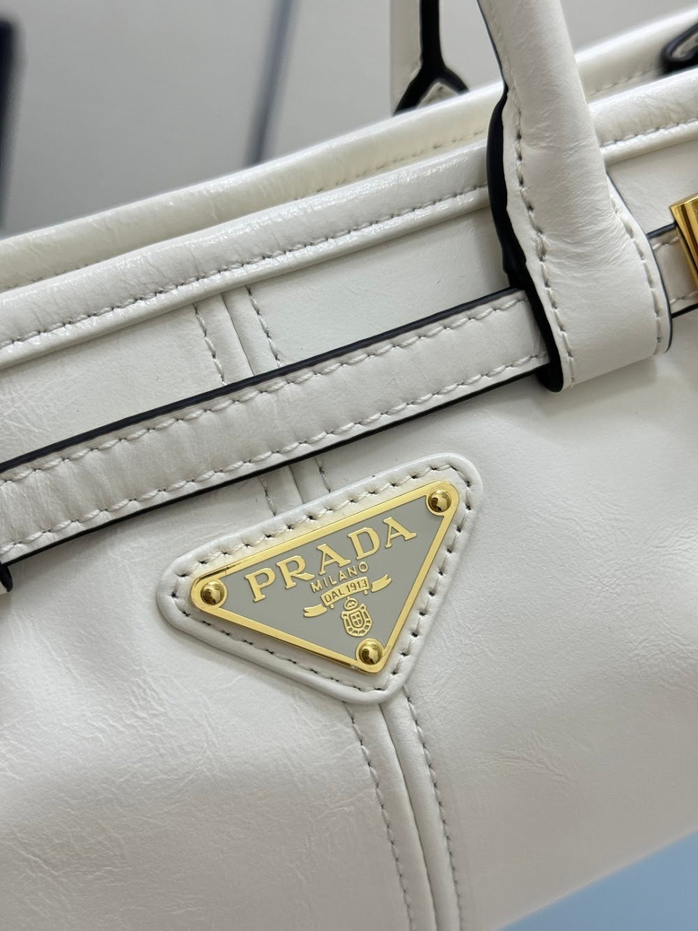 Dragons Bags Pradn Luxury Bag --101386