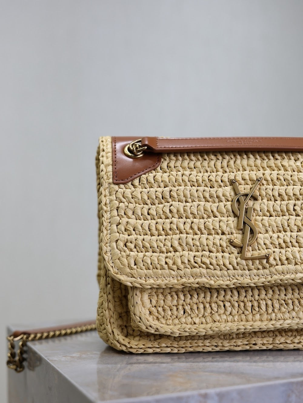 Dragons Bags YSLn Luxury Bag --119183