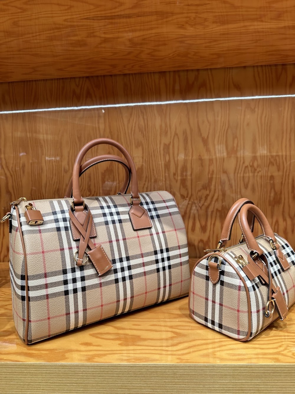 Dragons Bags Burberryn Luxury Bag --92137