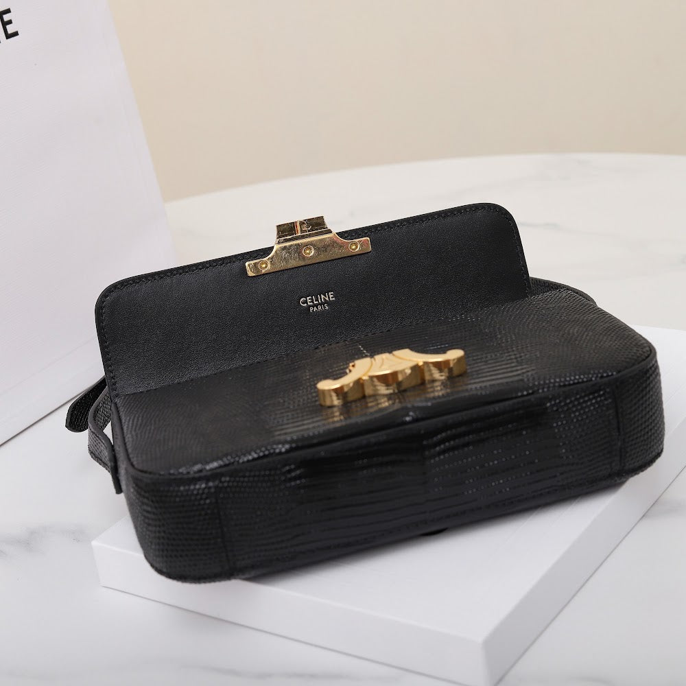Dragons Bags Celine Luxury Bag --112153
