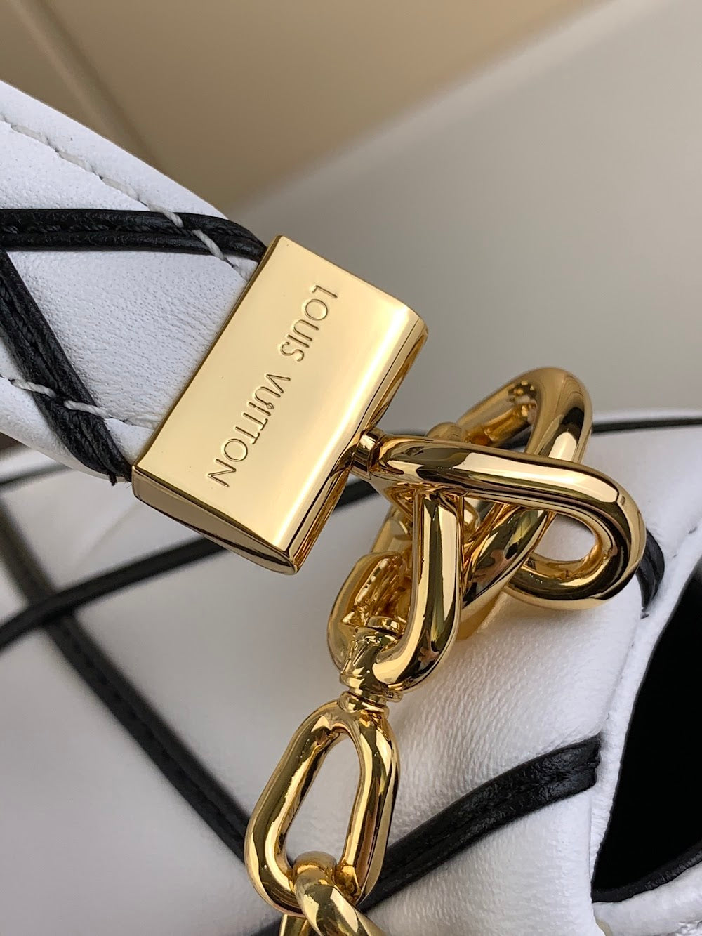 Dragons Bags ln Luxury Bag --68636