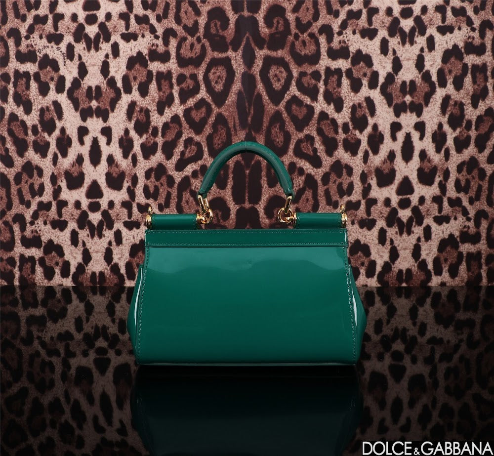 Dragons Bags DGn Luxury Bag --93634