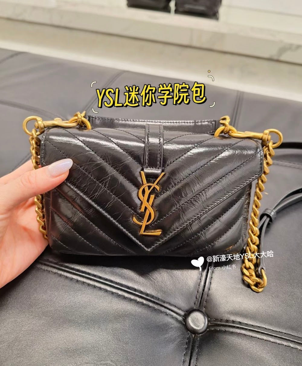 Dragons Bags YSLn Luxury Bag --119920