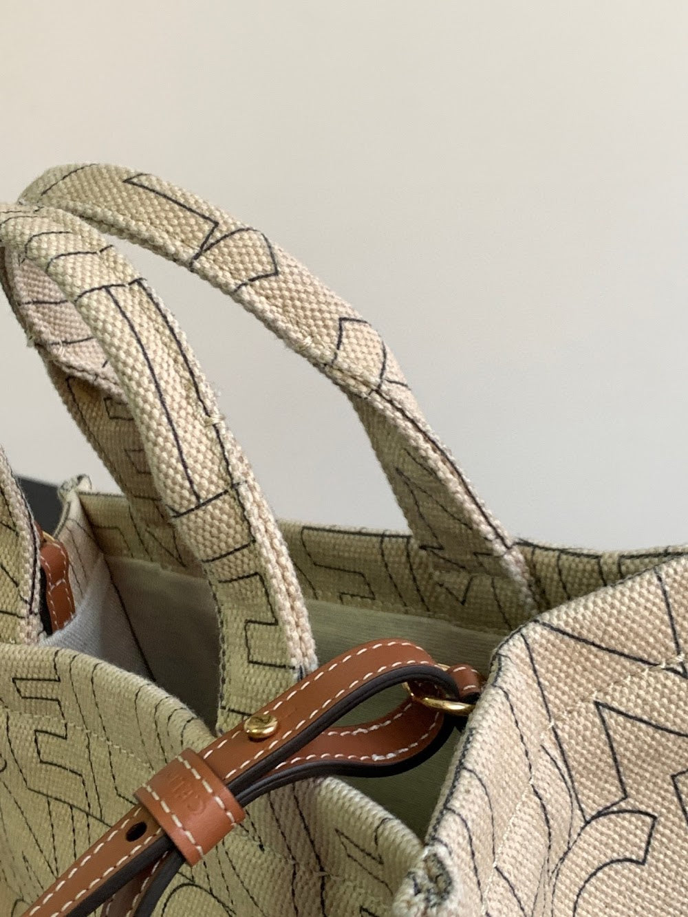 Dragons Bags Celine Luxury Bag --112118