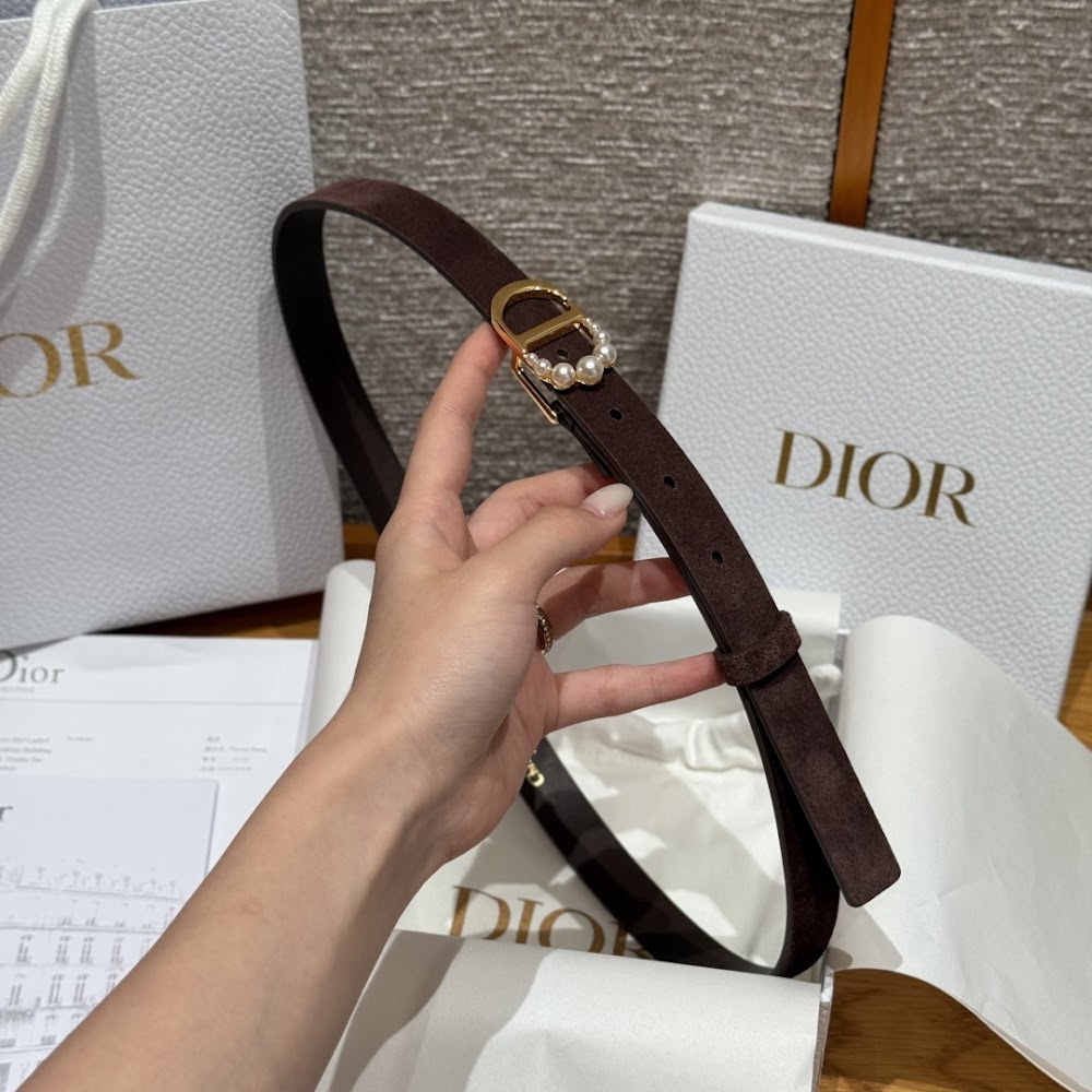 Dragons Bags Diorn Luxury Belt --104977