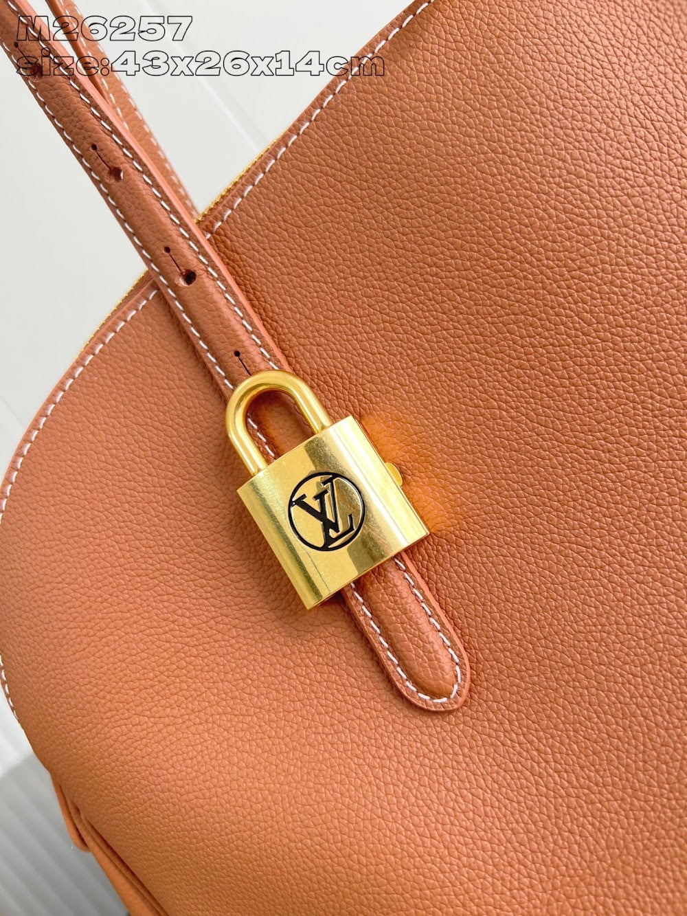 Dragons Bags ln Luxury Bag --95749