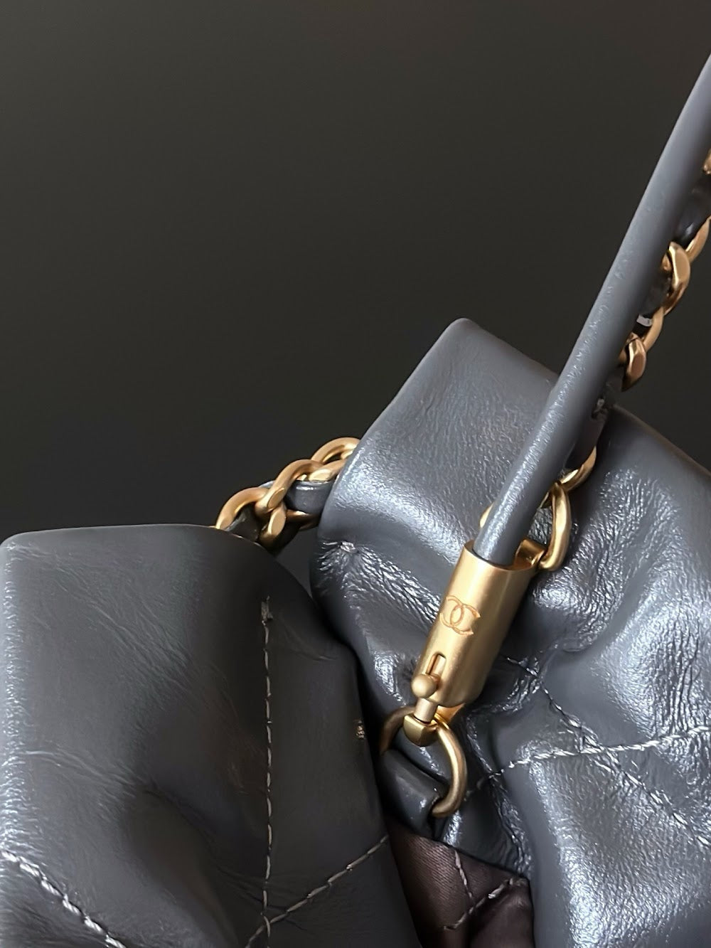 Dragons BagsCHn Luxury Bag --114382