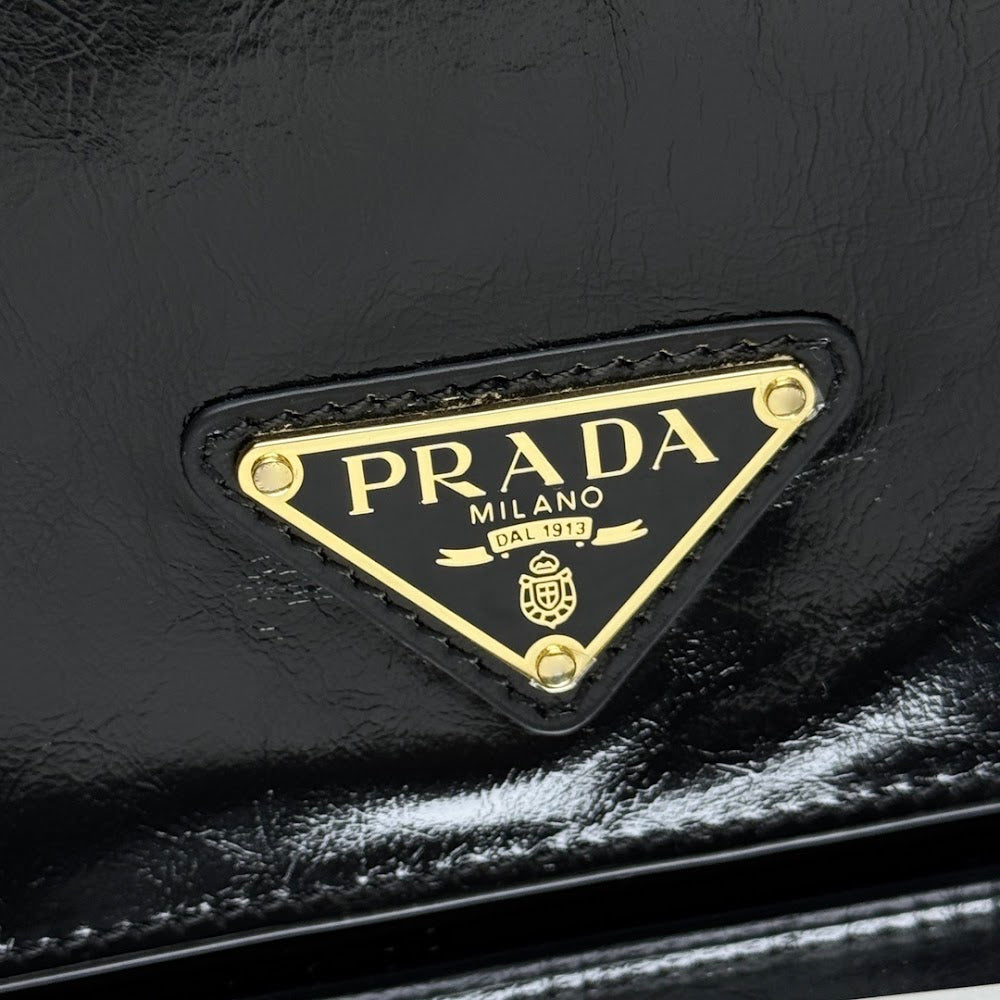 Dragons Bags Pradn Luxury Bag --102801