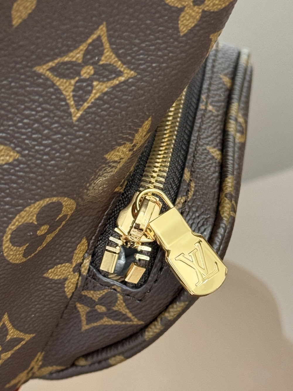 Dragons Bags ln Luxury Bag --97347