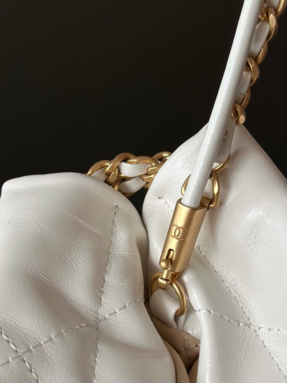 Dragons BagsCHn Luxury Bag --114418