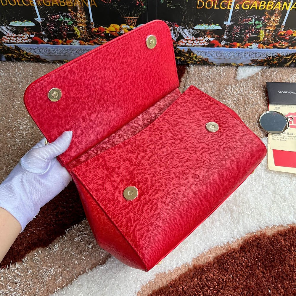 Dragons Bags DGn Luxury Bag --94119