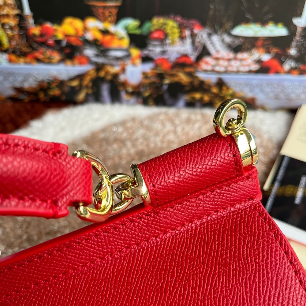 Dragons Bags DGn Luxury Bag --93581