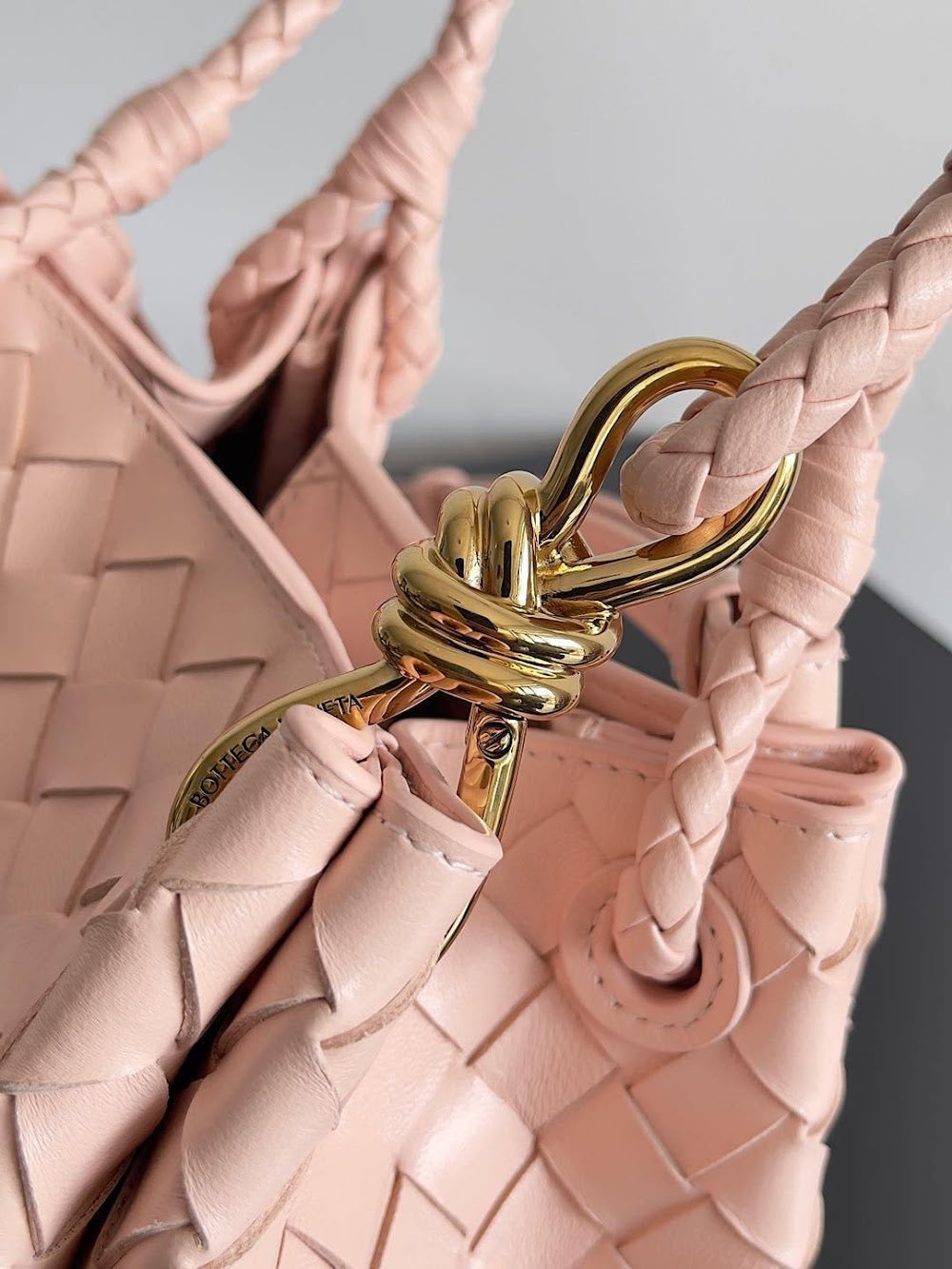 Dragons Bags Bottegan Luxury Bag --90964