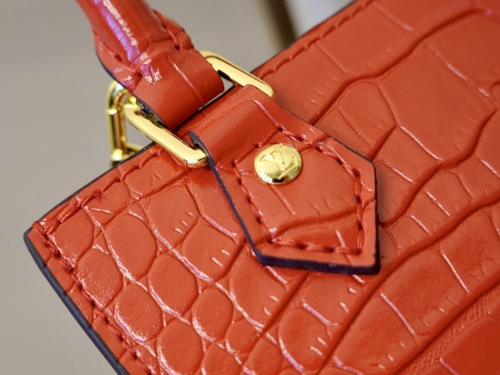 Dragons Bags ln Luxury Bag --60256