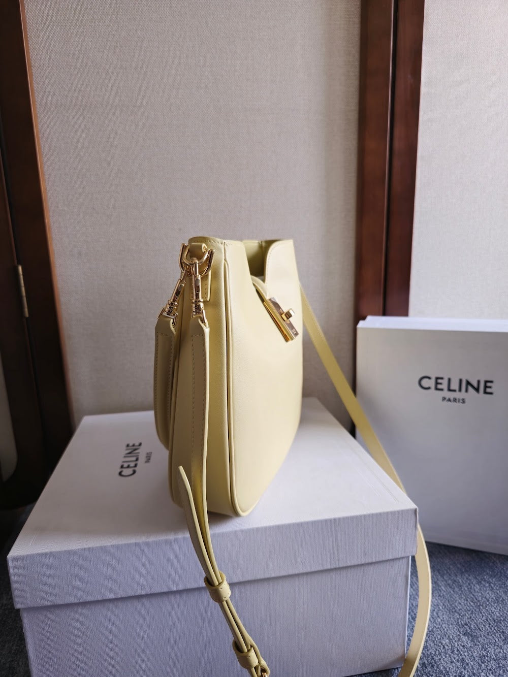 Dragons Bags Celine Luxury Bag --112207