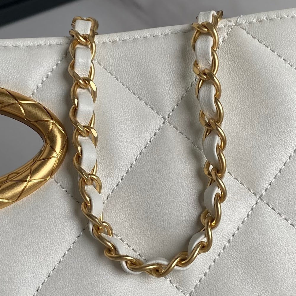 new-designer-premium-bags-nm10169