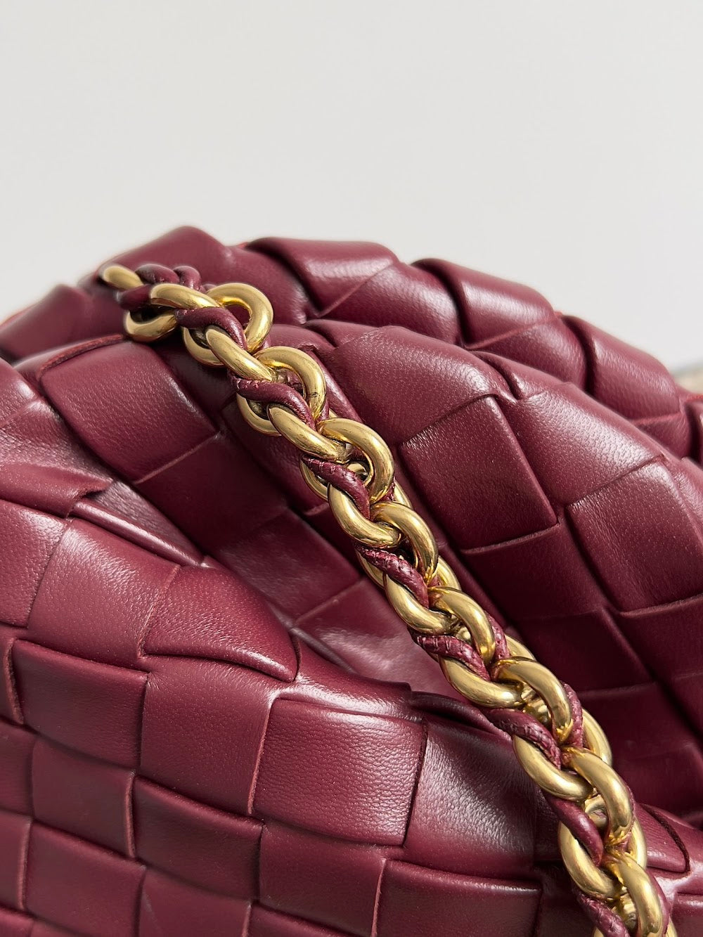 Dragons Bags Bottegan Luxury Bag --91228