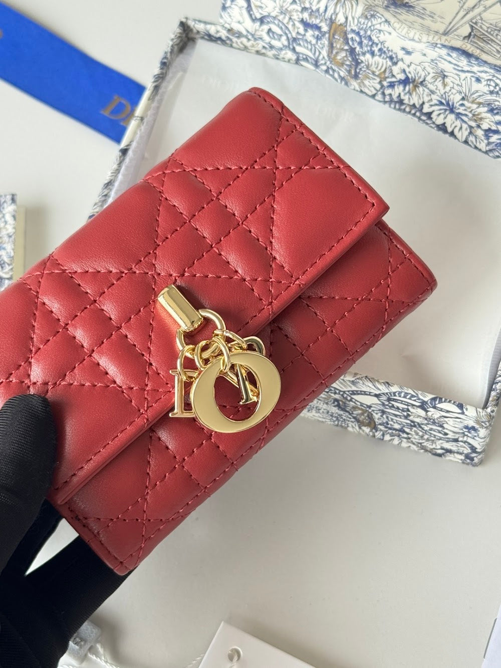 Dragons BagsDiorn Luxury Bag --114490