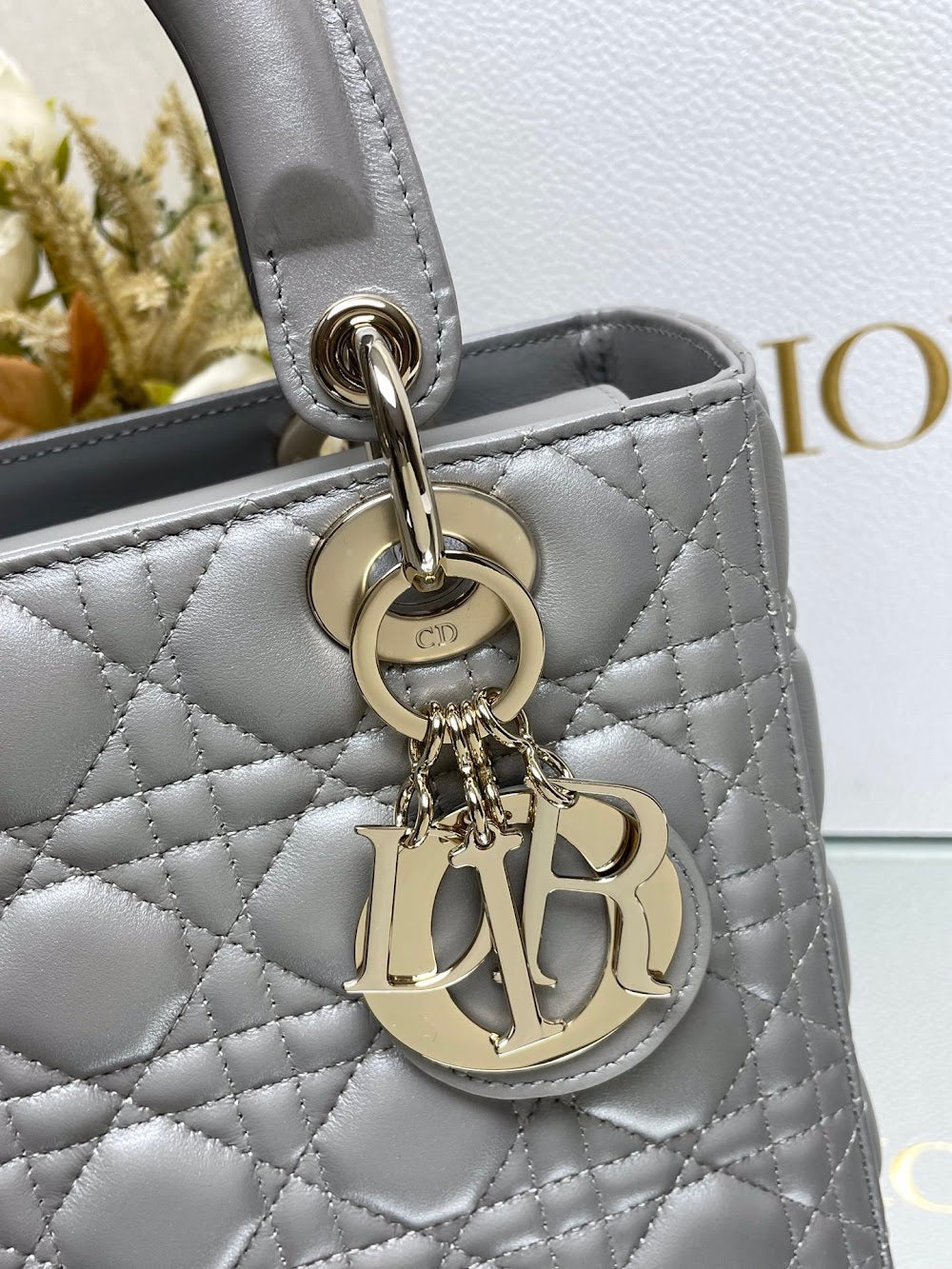 Dragons BagsDiorn Luxury Bag --116020