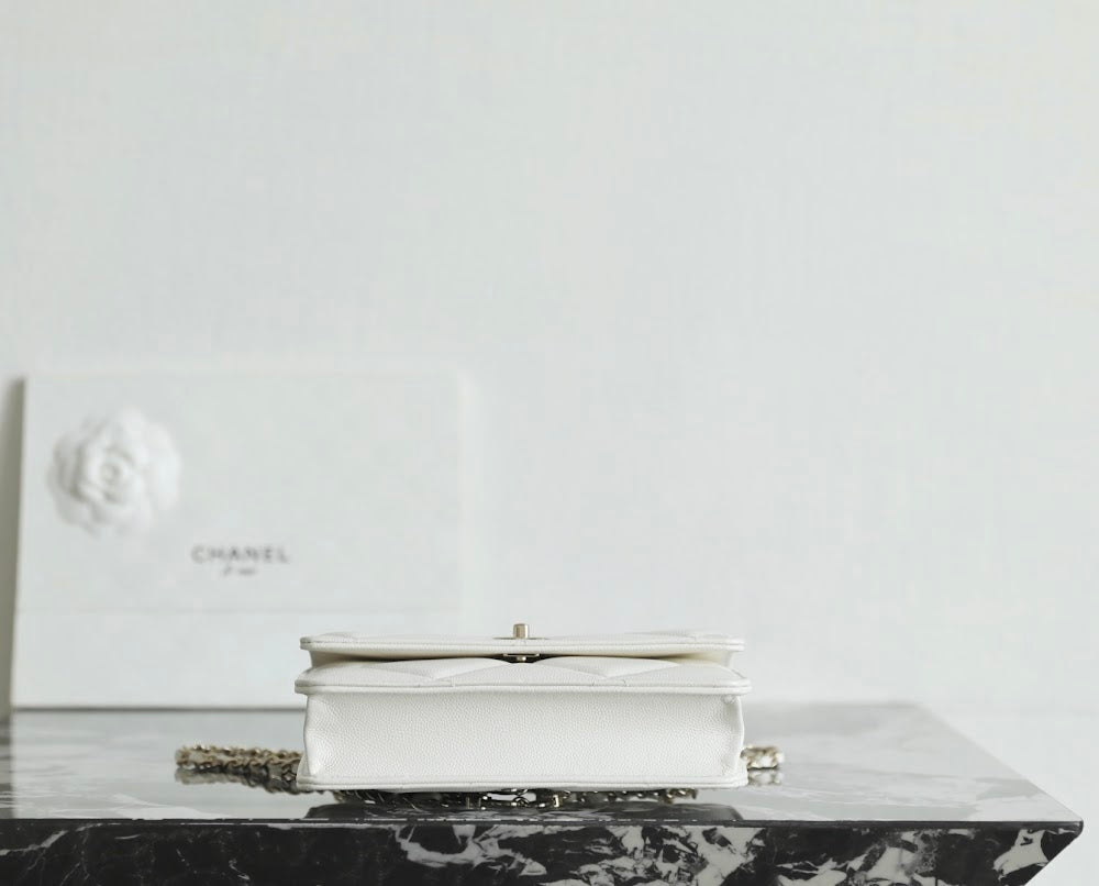 Dragons Bags CHn Luxury Bag --113618