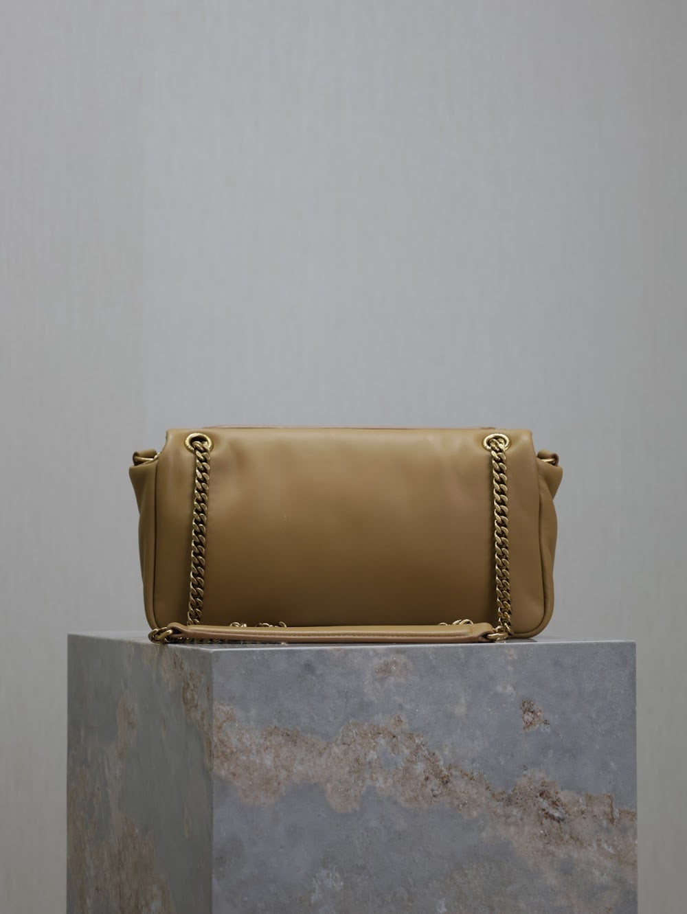 Dragons Bags YSLn Luxury Bag --119376