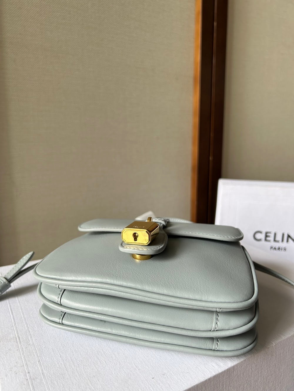 Dragons Bags Celine Luxury Bag --112515