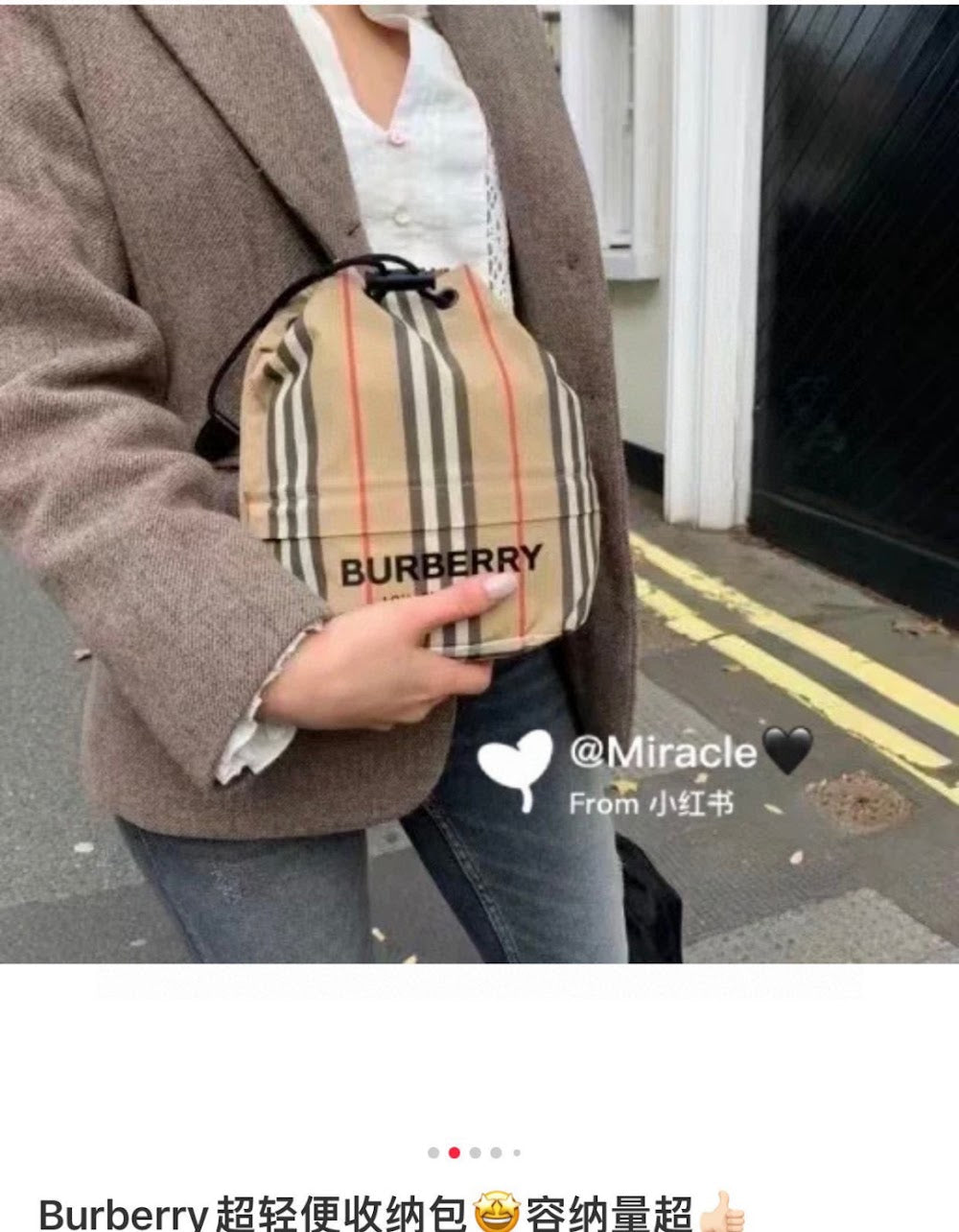 Dragons Bags Burberryn Luxury Bag --91624