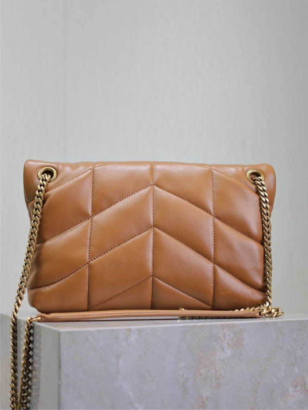 Dragons Bags YSLn Luxury Bag --119433