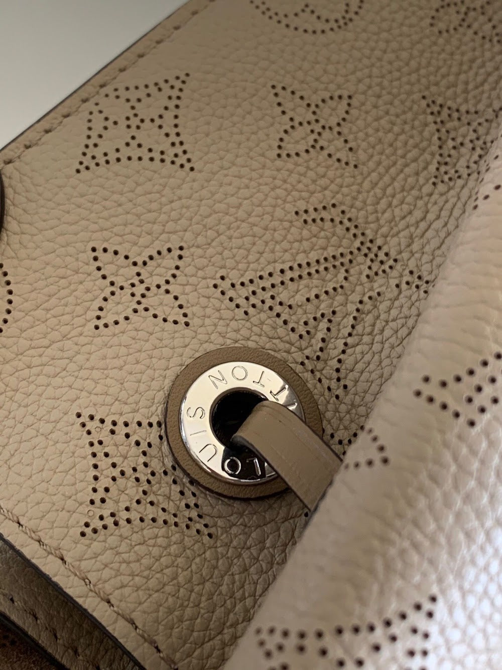Dragons Bags ln Luxury Bag --56368