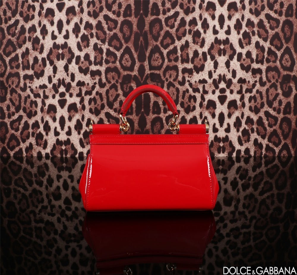 Dragons Bags DGn Luxury Bag --93637