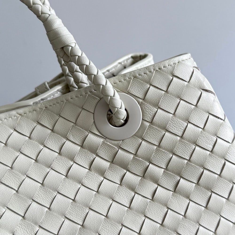 Dragons Bags Bottegan Luxury Bag --91444