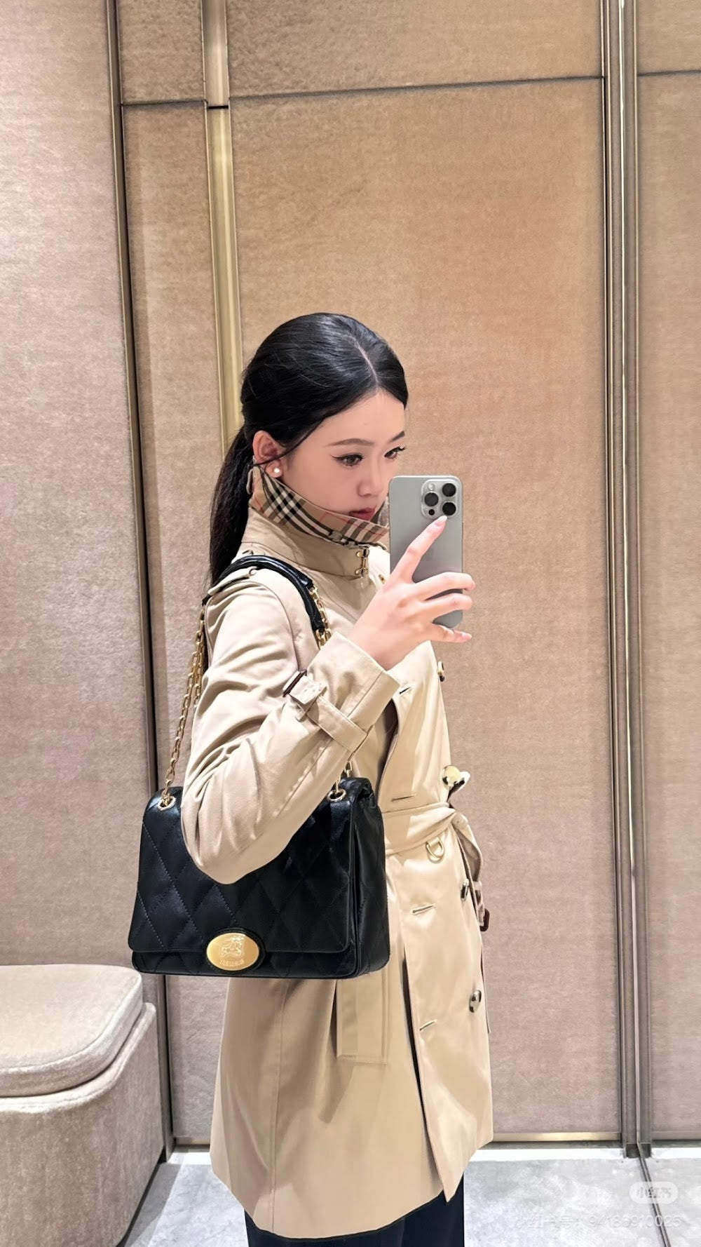 Dragons Bags Burberryn Luxury Bag --92741