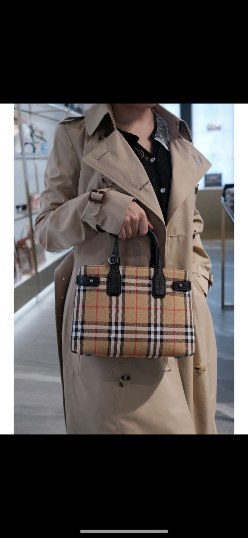 Dragons Bags Burberryn Luxury Bag --92166